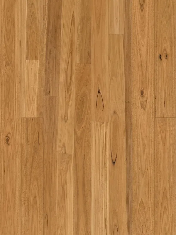Blackbutt timber floor sample