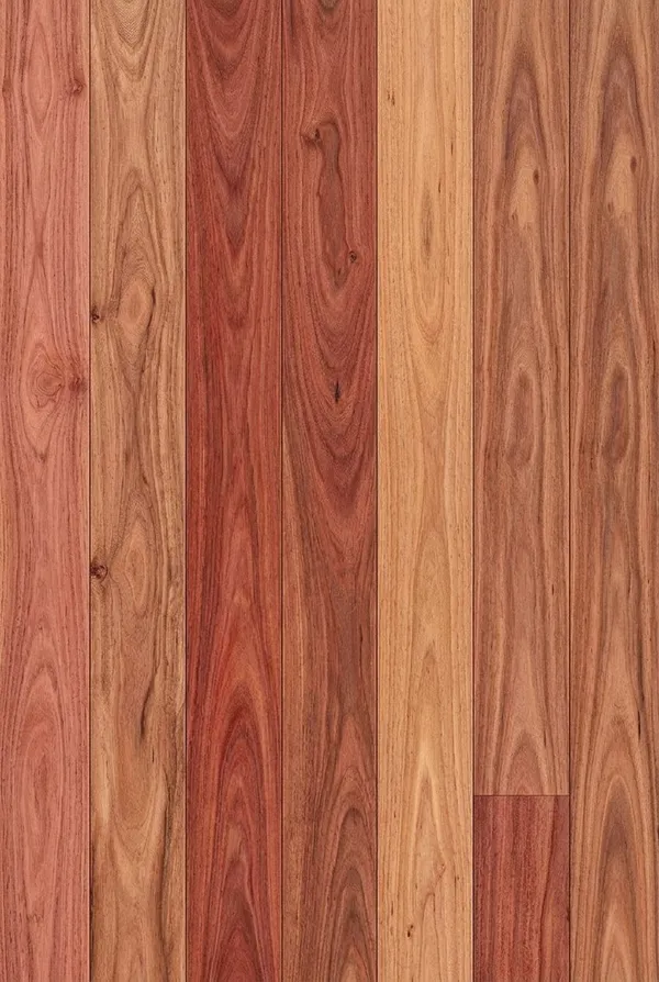 Brush Box timber floor sample